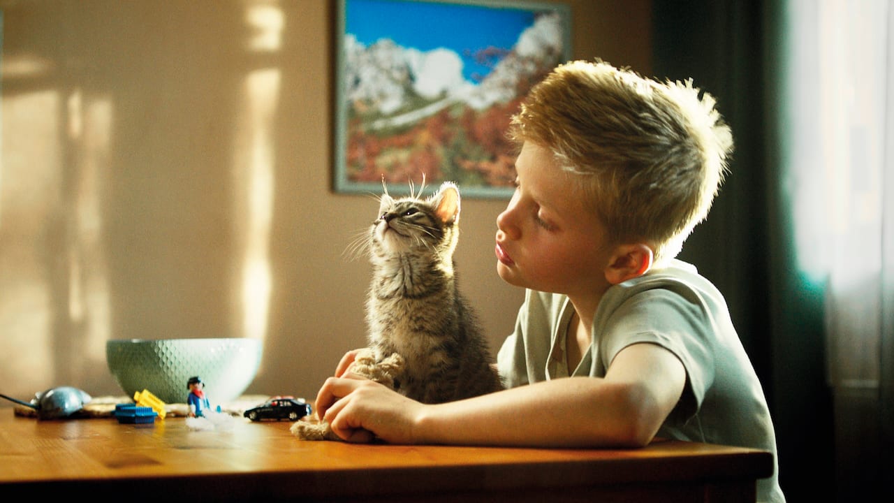 Still from Koschka