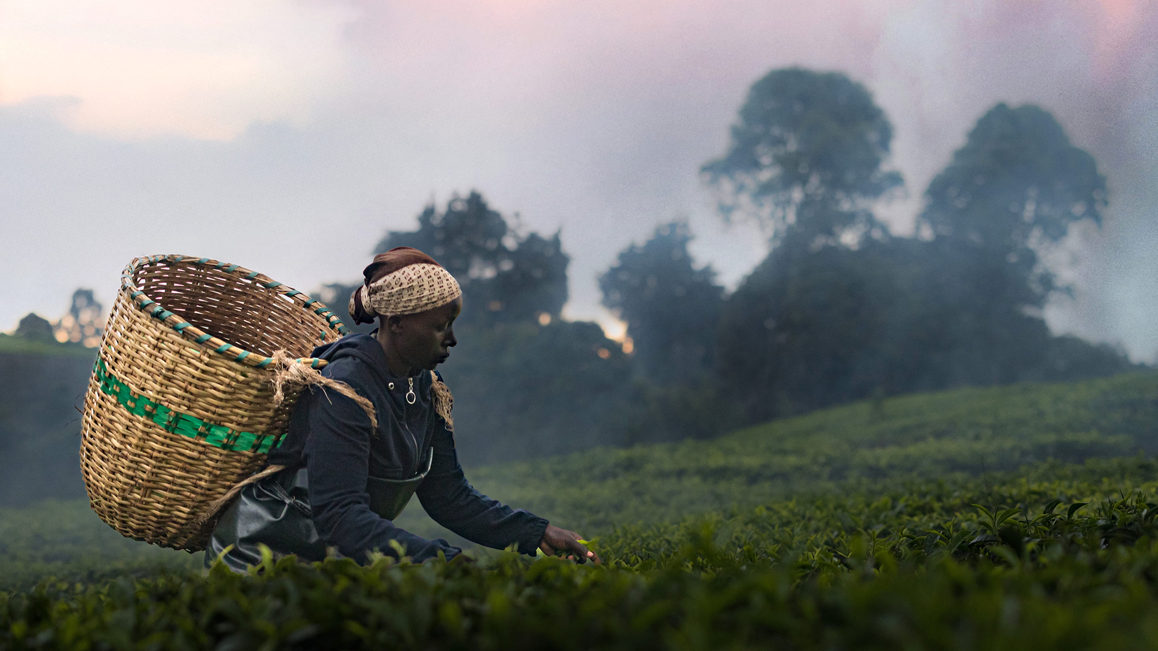 Still from Kikuyu Land
