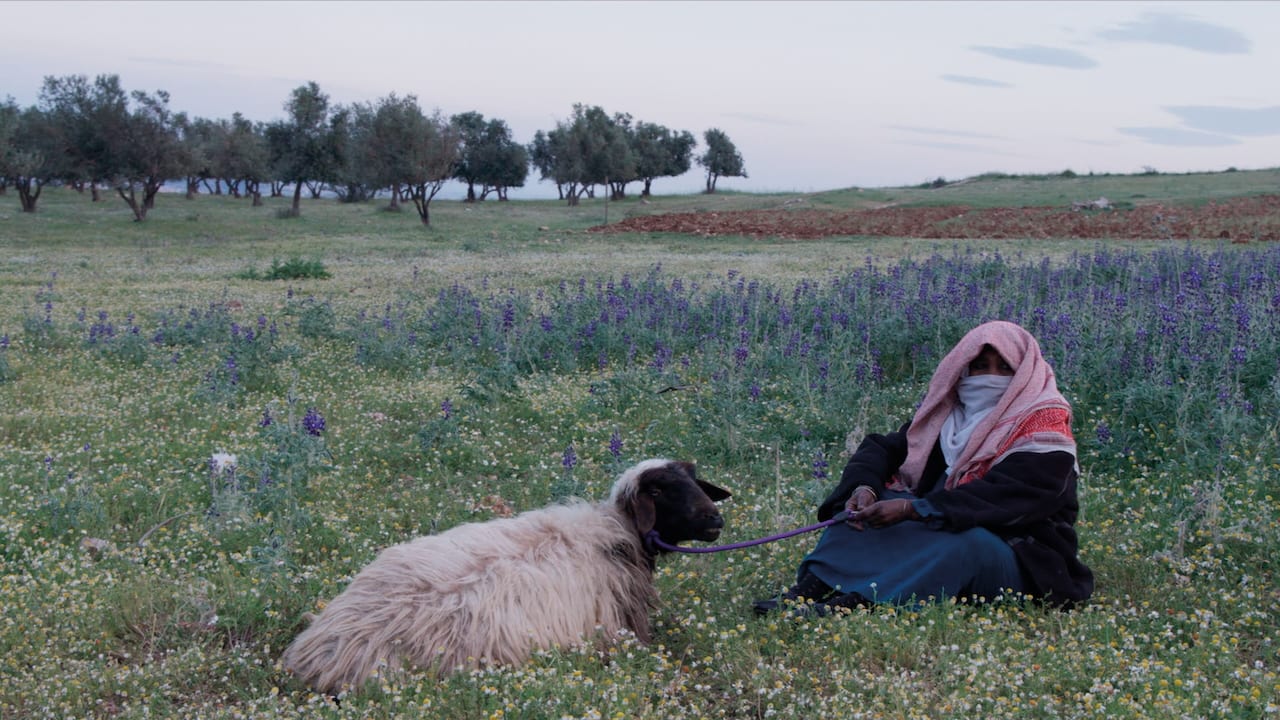 Still from Concrete Land