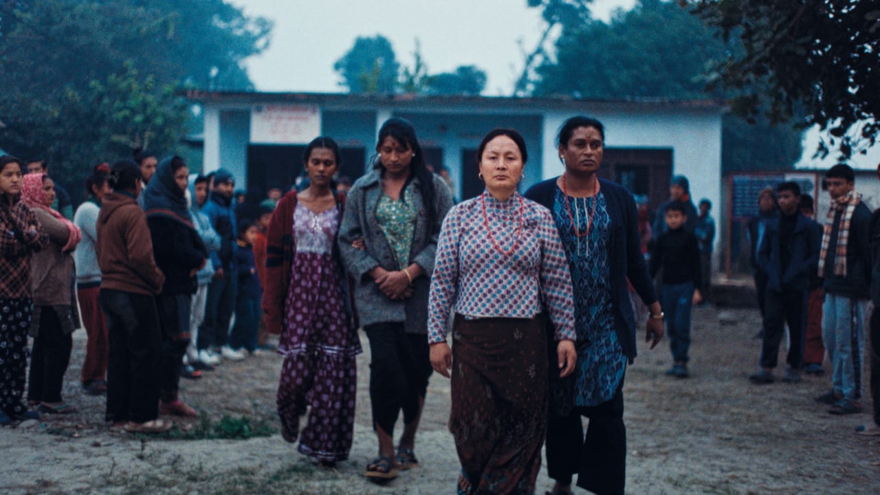 Still from Elephants in the Fog
