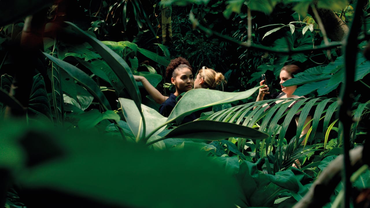 Still from Tracing Islands