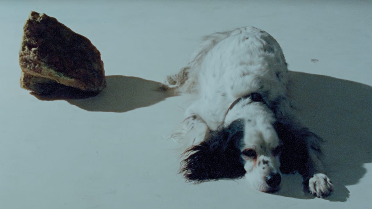 Still from Reconstruction Sites