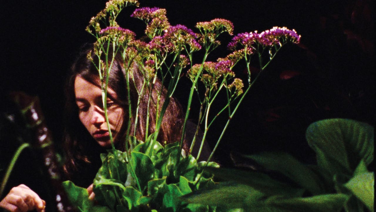 Still from Tropical Fractals