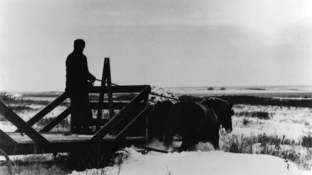 Still from Northern Lights
