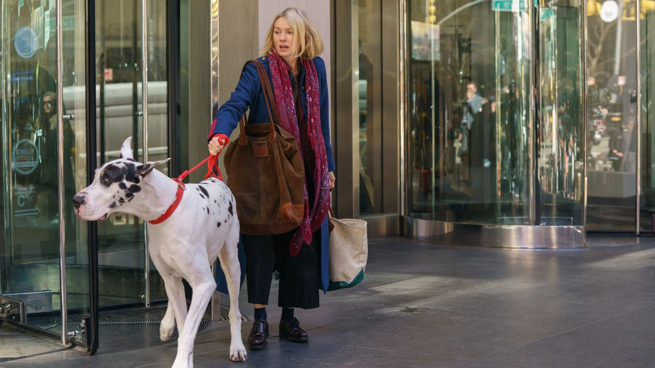 Still from The Friend