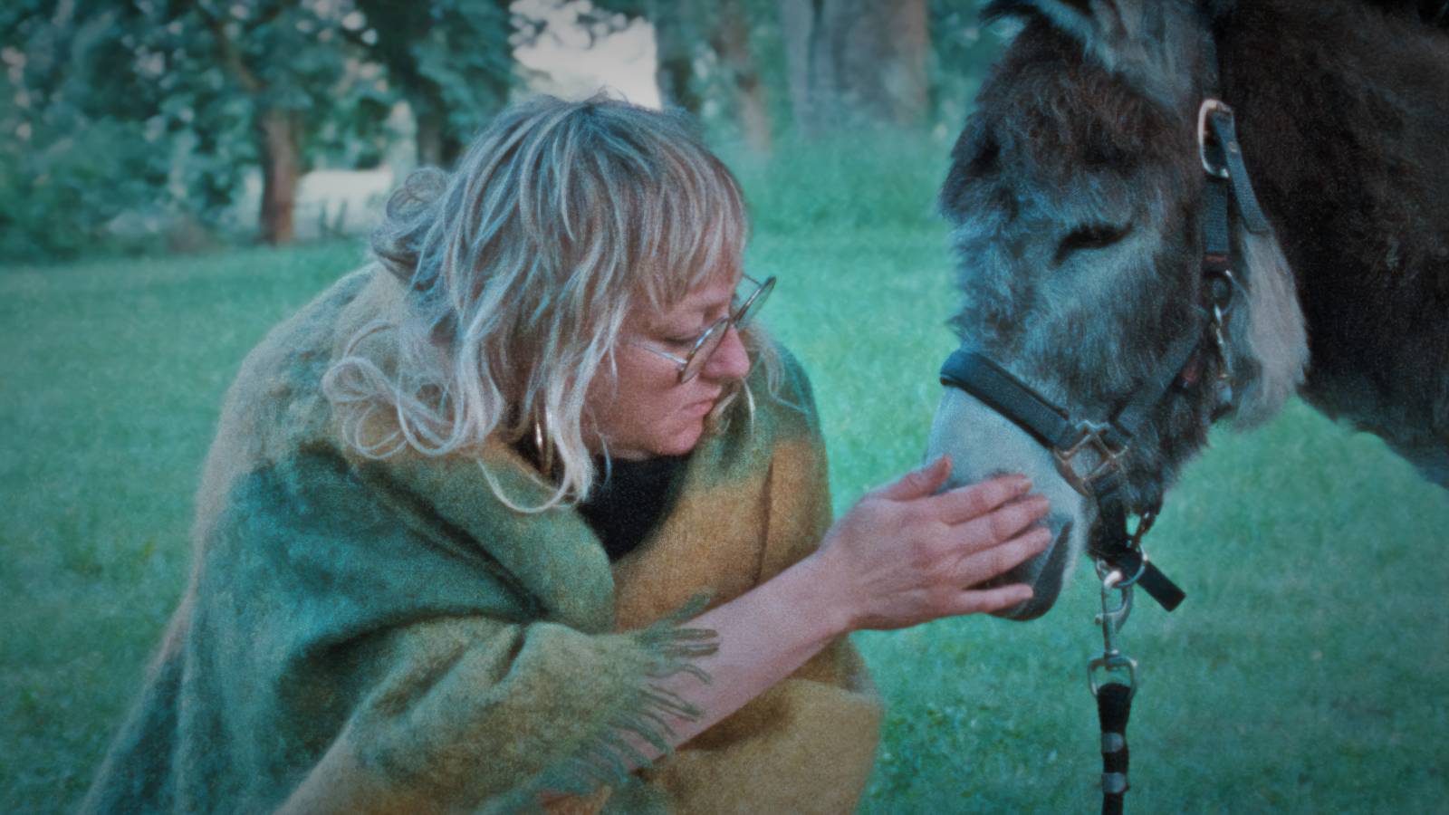 Still from Donkey Days