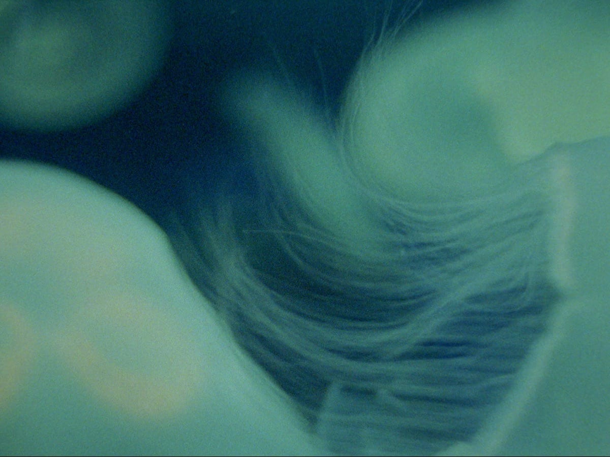 Still from Currents Program 1: The Hidden Dimension